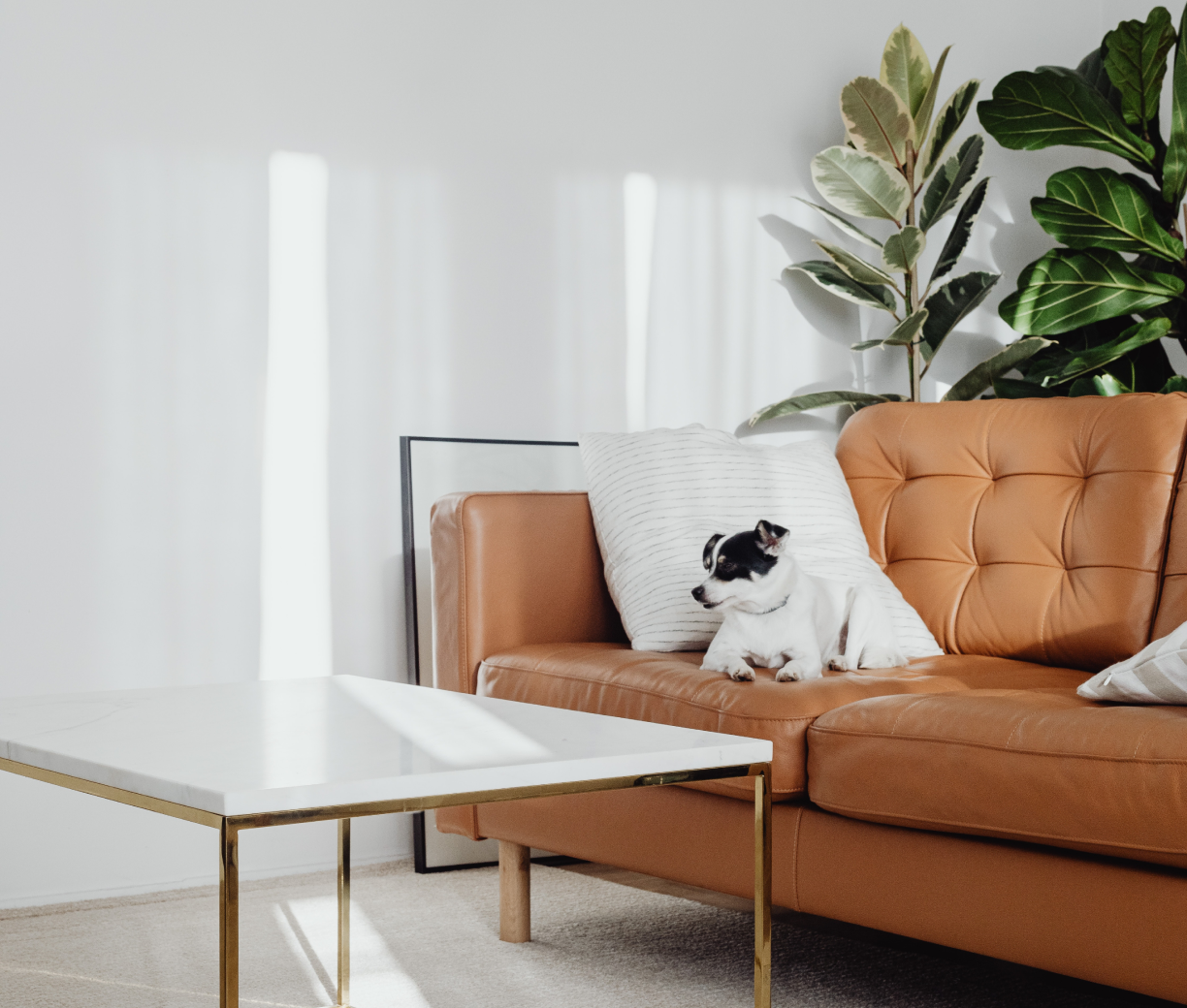 Furnishing your space: a guide to choosing the perfect furniture pieces